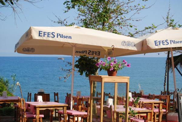 אלאניה Guven Hotel מראה חיצוני תמונה