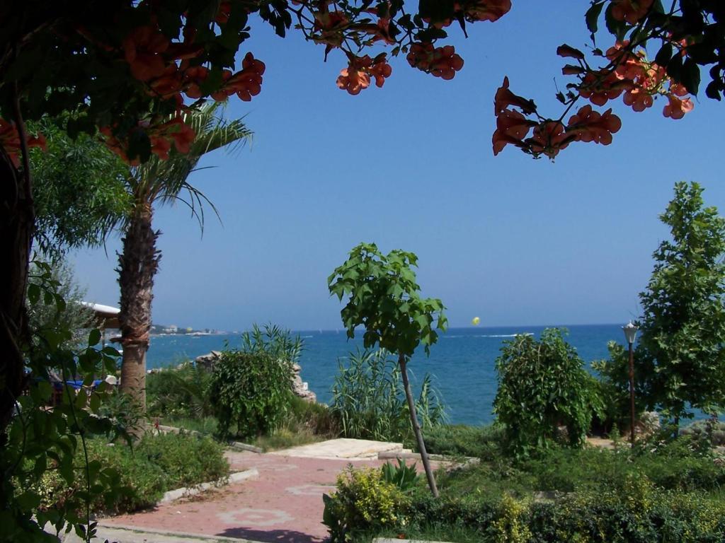 אלאניה Guven Hotel מראה חיצוני תמונה