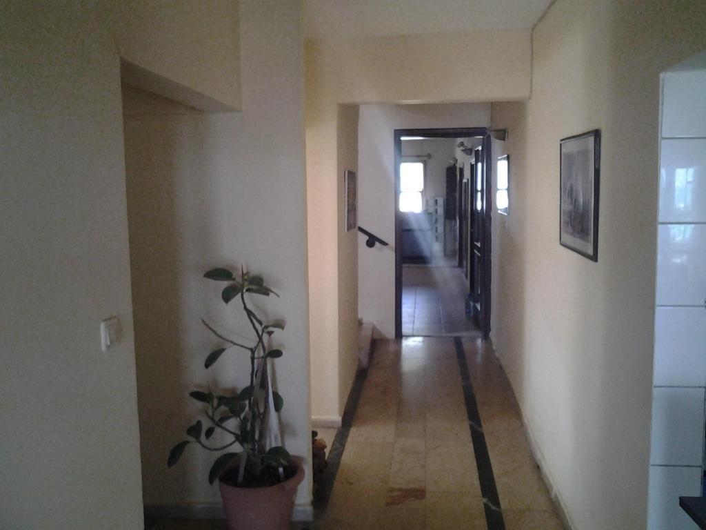 אלאניה Guven Hotel מראה חיצוני תמונה